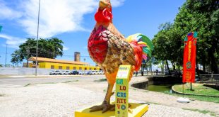 prefeitura-do-recife-e-galo-da-madrugada-inauguram-alegorias-em-pontos-turisticos-do-centro