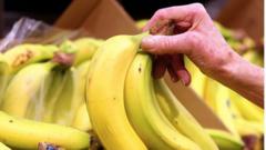 ‘preco-de-banana’?-clima-mais-quente-deve-deixar-fruta-mais-cara