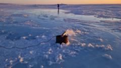 mudanca-climatica:-o-plano-‘maluco’-para-salvar-o-gelo-marinho-do-artico