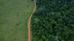 como-brasil-e-colombia-lideraram-‘reducao-drastica’-em-desmatamento-em-2023
