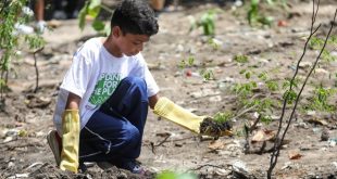 prefeitura-do-jaboatao-promove-atividades-e-planta-500-arvores-em-comemoracao-ao-dia-do-meio-ambiente