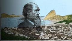 darwin:-como-viagem-ao-brasil-influenciou-a-teoria-da-evolucao