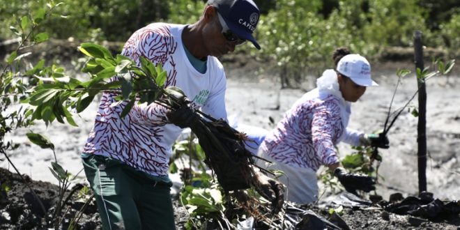 prefeitura-do-recife-comemora-semana-do-meio-ambiente-com-iniciativa-de-revitalizacao-de-manguezais