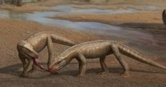 o-novo-reptil-de-237-milhoes-de-anos-de-idade-descoberto-no-brasil