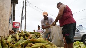 circuito-do-milho-de-olinda-registra-aumento-de-30%-em-2024