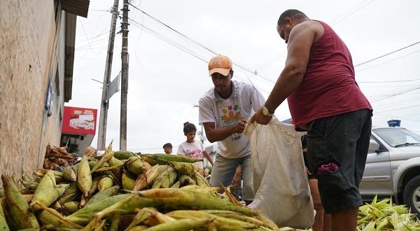 circuito-do-milho-de-olinda-registra-aumento-de-30%-em-2024