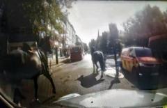 cavalos-militares-fogem-e-correm-pelas-ruas-de-londres