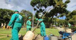 prefeitura-do-recife-realiza-plantio-de-60-arvores-no-parque-da-tamarineira