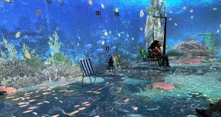 exposicao-“viagem-imersiva-ao-fundo-do-mar”-traz-experiencia-subaquatica-ao-shopping-guararapes