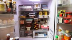 o-simples-metodo-japones-para-manter-geladeira-organizada-e-desperdicar-menos-comida