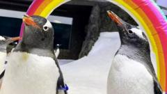 a-comocao-global-com-a-morte-de-pinguim-famoso-por-‘casamento-gay’