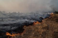 o-que-explica-recorde-de-incendios-no-pantanal