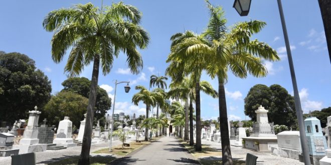 prefeitura-do-recife-prepara-cemiterios-da-cidade-para-o-dia-de-finados