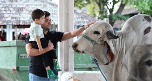 83ª Exposição Nordestina de Animais divulga programação e inicia venda antecipada de ingressos pela internet