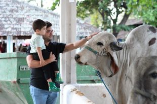 83ª Exposição Nordestina de Animais divulga programação e inicia venda antecipada de ingressos pela internet