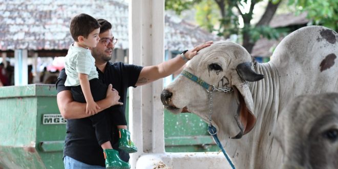 83ª Exposição Nordestina de Animais divulga programação e inicia venda antecipada de ingressos pela internet