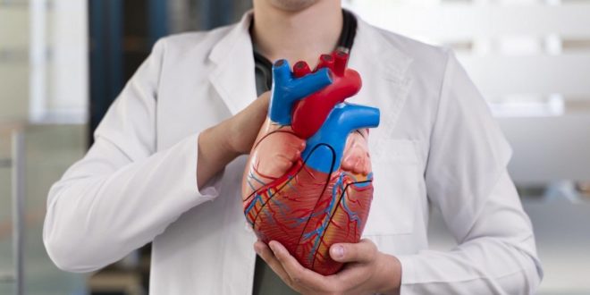 A cada 72 segundos, uma pessoa morre por doença cardiovascular no país