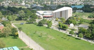 As pulgas da Universidade