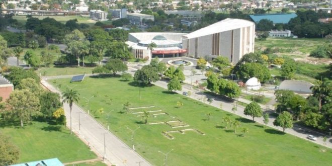 As pulgas da Universidade