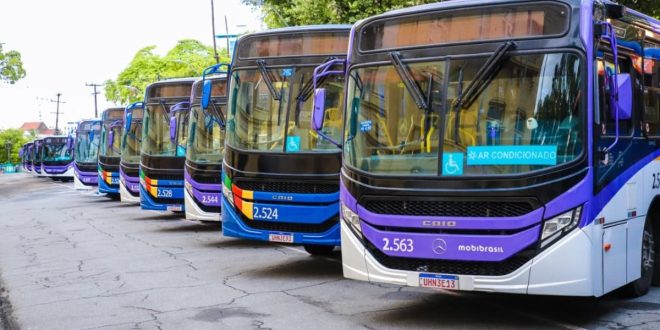 SSA 3 da UPE: Grande Recife reforça linhas de ônibus nos dois dias de prova; confira os itinerários
