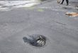 Voz do Leitor,15/10: Afundamento asfáltico em rua de Boa Viagem